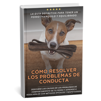 Cómo resolver los problemas de comportamiento