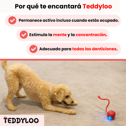 Teddyloo™ – Pelota interactiva para la estimulación