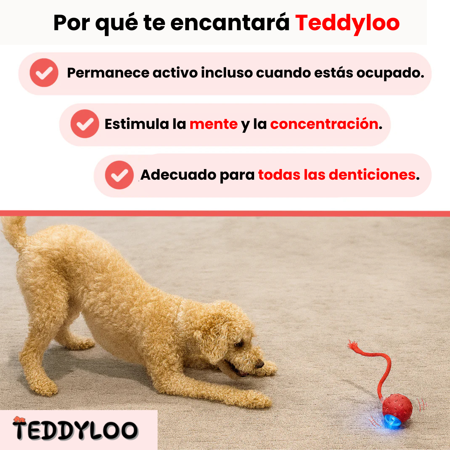 Teddyloo™ – Pelota interactiva para la estimulación